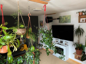 Beautiful and peaceful apartment in the heart of Munich
